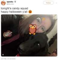 213550.jpg