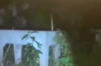1643035157538.webm