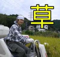 yagookusa.jpg