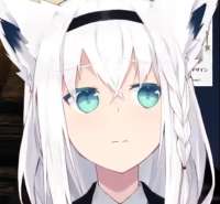 1619139616059.png