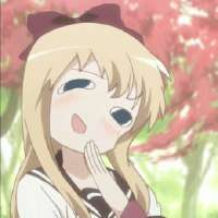 17309699532530.gif
