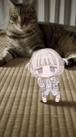 キジ猫に狙われるBancho  #轟はじめ #bancho #番長 #ホロライブ #hololive.mp4
