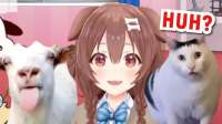 hq720.jpg
