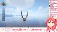 17441331599560.webm