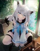 tonagawa-Shirakami-Fubuki-Hololive-Virtual-YouTuber-6628243.png