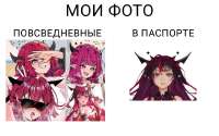1000020992.jpg