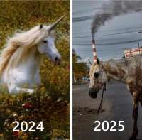 unicorn.png