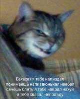 напиздел.jpg