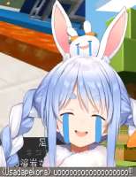 1735217681903913.png