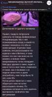 IMG4401.jpeg