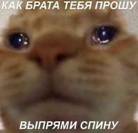 1299db6d69c159fa44cc9a5bdd096d391cd41c0f1b9e6f31e613ba2837c1a0131.jpg
