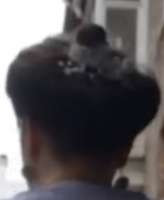 IMG7447.jpeg