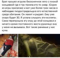 IMG0468.jpeg