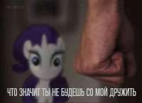 IMG0478.jpeg