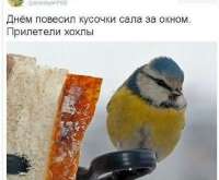1753813532175.jpg