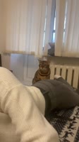 17500978769111.mp4