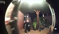 8393890282380480045.mp4