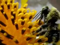 17529672577880.mp4