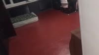 братва отдыхает.mp4