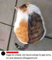 17209366671580.jpg