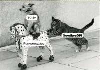 1726155282160864224.jpg