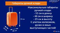 ГабаритыручнойкладиАэрофлот.jpg