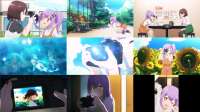 ninkoro7.jpg