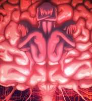 Your Forma - 01.jpg