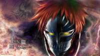 Hollow.Ichigo.full.987435.jpg