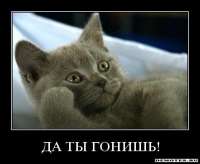 Да ты гонишь.jpg