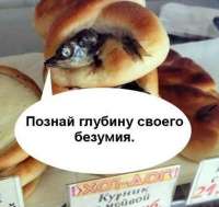16020796531840.jpg