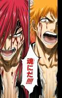 BLEACH カラー版 17 [aKraa]88.jpg