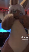 Download.mp4