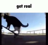 12b1c311-b1d2-463c-91f9-fcd5a73d1dc9.gif