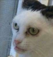 mfw.png