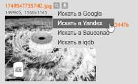 изображение2025-06-11085825698.png