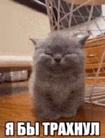 163772826479.gif
