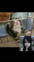 AQM8NEkvPh7EdWyKSn97fI4cR7ZHZCfnyKLynzhH6NeF5ZlEVPlZNC2KyajJF2IoFrQRSHy4pi4.mp4