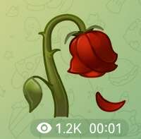 Screenshot20250729050554org.telegram.messengeredit664046367762733.jpg