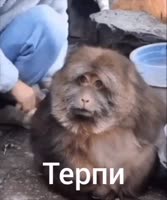 1755012320806.mp4