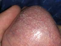 IMG0757.jpeg