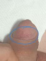 IMG20250813013555034.jpg