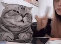 сельдь затирает коту.mp4