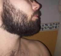 20200807014225.jpg