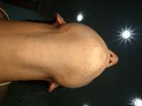DSC0384.JPG