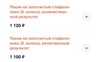 IMG7216.jpeg