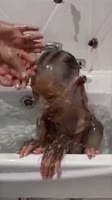 74DDCB02-9C2B-44EC-B277-C390D89F478F.mp4
