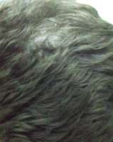 IMG20201218092522.jpg