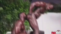 17309926470130.webm