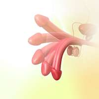 1-penis-erection-pixologicstudioscience-photo-library.jpg
